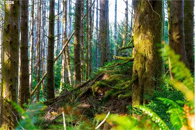 Newport Heights Dr #TL106, Newport, OR 97365 - Photo 14