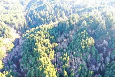 Newport Heights Dr #TL106, Newport, OR 97365 - Photo 30