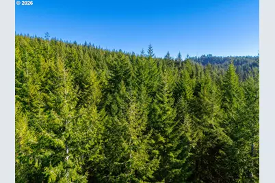 Newport Heights Dr #TL106, Newport, OR 97365 - Photo 8