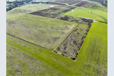 687 Hubbard Creek Rd, Umpqua, OR 97486 - Photo 8