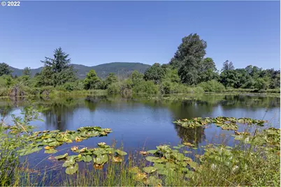 Delight Valley Schl Rd, Cottage Grove, OR 97424 - Photo 16