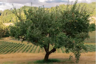 355 Banks Creek Rd, Sutherlin, OR 97479 - Photo 42