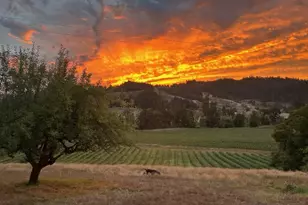 355 Banks Creek Rd, Sutherlin, OR 97479 - Photo 2