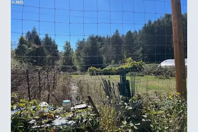 78544 Rat Creek Rd, Cottage Grove, OR 97424 - Photo 34