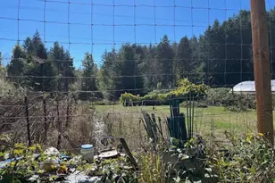 78544 Rat Creek Rd, Cottage Grove, OR 97424 - Photo 34