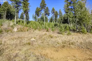 29104 NE Hancock Rd, Camas, WA 98607 - Photo 38