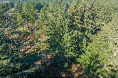 93619 Driftwood Inn Ln, North Bend, OR 97459 - Photo 12