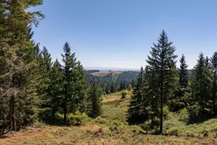 NE Old Parrett Mountain Rd, Newberg, OR 97132 - Photo 24