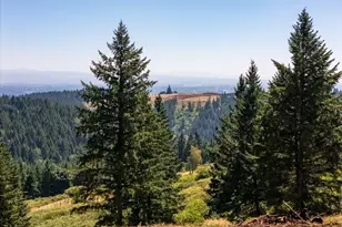 NE Old Parrett Mountain Rd, Newberg, OR 97132 - Photo 26