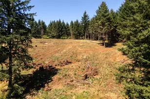 NE Old Parrett Mountain Rd, Newberg, OR 97132 - Photo 20