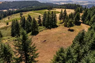 NE Old Parrett Mountain Rd, Newberg, OR 97132 - Photo 14