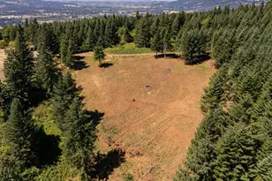 NE Old Parrett Mountain Rd, Newberg, OR 97132 - Photo 30