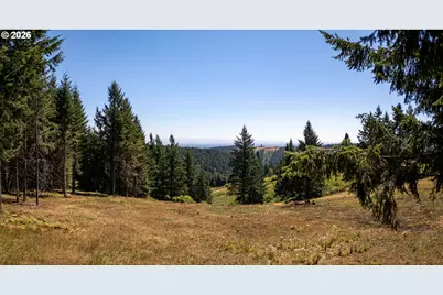 Ne Old Parrett Mountain Rd #2, Newberg, OR 97132 - Photo 6