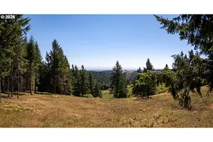 NE Old Parrett Mountain Rd, Newberg, OR 97132 - Photo 6