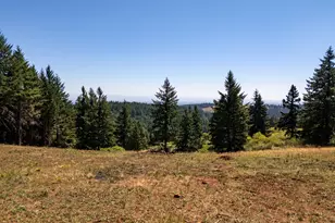 NE Old Parrett Mountain Rd, Newberg, OR 97132 - Photo 22