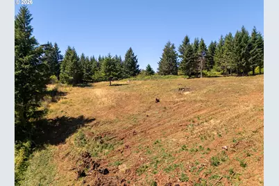 Ne Old Parrett Mountain Rd #2, Newberg, OR 97132 - Photo 4