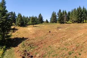NE Old Parrett Mountain Rd, Newberg, OR 97132 - Photo 4