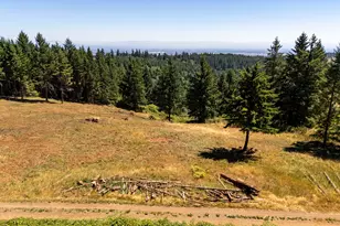 NE Old Parrett Mountain Rd, Newberg, OR 97132 - Photo 2
