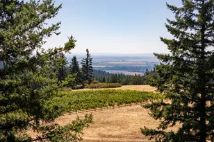 NE Old Parrett Mountain Rd, Newberg, OR 97132 - Photo 10
