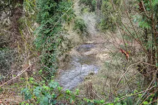 41051 SE Coalman Rd, Sandy, OR 97055 - Photo 40