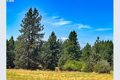 9 Haven Ct, Goldendale, WA 98620 - Photo 4