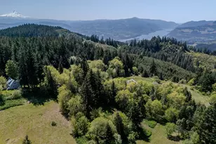 59 Tunnel Rd, White Salmon, WA 98672 - Photo 22