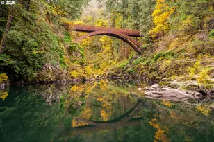 38220 NE Sunset Falls Rd, Yacolt, WA 98675 - Photo 40