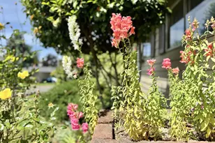 3602 NE 134th Ave, Portland, OR 97230 - Photo 4