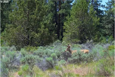 19723 Buck Canyon Rd, Bend, OR 97702 - Photo 48