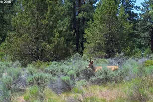 19723 Buck Canyon Rd, Bend, OR 97702 - Photo 48