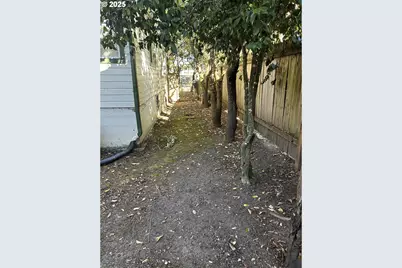 239 D St, Springfield, OR 97477 - Photo 14