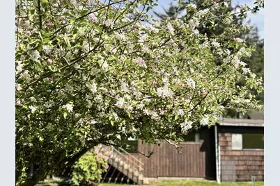 735 3rd Ave, Gearhart, OR 97138 - Photo 14