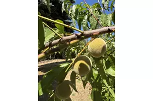1931 Sleepy Hollow Loop, Grants Pass, OR 97527 - Photo 10