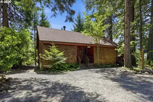 54444 McKenzie River Dr, Blue River, OR 97413 - Photo 2