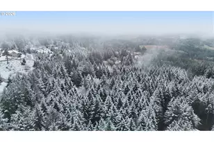 25115 NE Albertson Rd, Hillsboro, OR 97123 - Photo 38