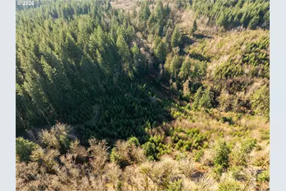 43902 NE Columbia Tie Rd, Amboy, WA 98601 - Photo 14