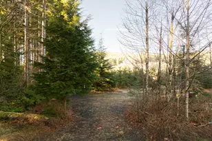 43902 NE Columbia Tie Rd, Amboy, WA 98601 - Photo 10