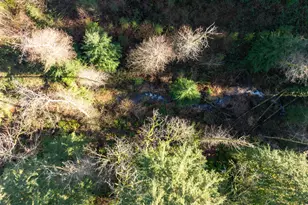 43902 NE Columbia Tie Rd, Amboy, WA 98601 - Photo 20