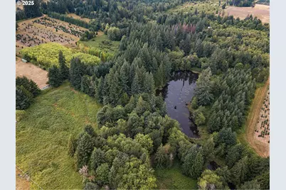 40809 SE Trubel Rd, Sandy, OR 97055 - Photo 10
