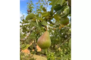 23625 S Hwy 99W, Amity, OR 97101 - Photo 30