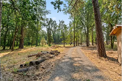 26266 Cory Rd, Junction City, OR 97448 - Photo 24