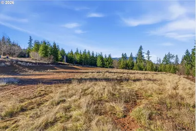22310 NE Dole Valley Rd, Yacolt, WA 98675 - Photo 4