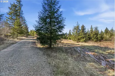 22310 NE Dole Valley Rd, Yacolt, WA 98675 - Photo 2