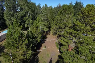 1205 303rd St, Ocean Park, WA 98640 - Photo 1