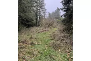 12192 S Mulino Rd, Canby, OR 97013 - Photo 20