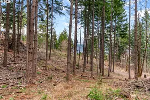 1202 Scoggins Rd, Underwood, WA 98651 - Photo 40