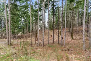 1202 Scoggins Rd, Underwood, WA 98651 - Photo 44