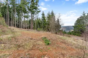 1202 Scoggins Rd, Underwood, WA 98651 - Photo 42