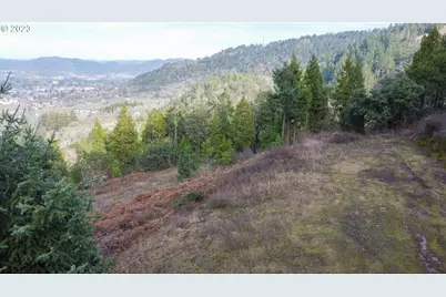 0 Lookingglass Rd, Roseburg, OR 97471 - Photo 24