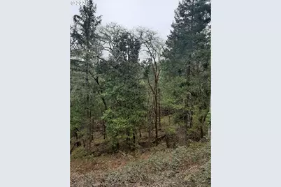 0 Lookingglass Rd, Roseburg, OR 97471 - Photo 4